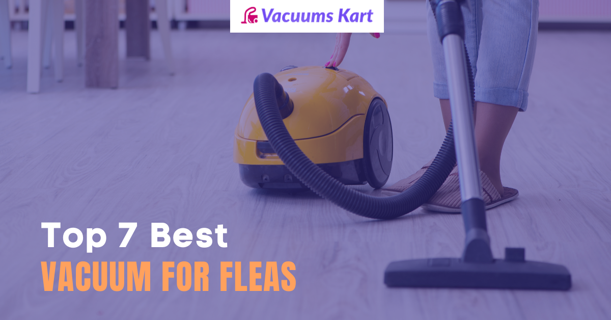Top 7 best vacuum for fleas [2022]